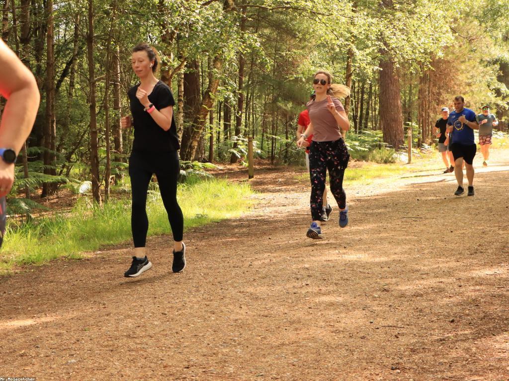 អត្ថប្រយោជន៍នៃប្រព័ន្ធប្រាក់រង្វាន់សុខភាពសម្រាប់សមាជិក