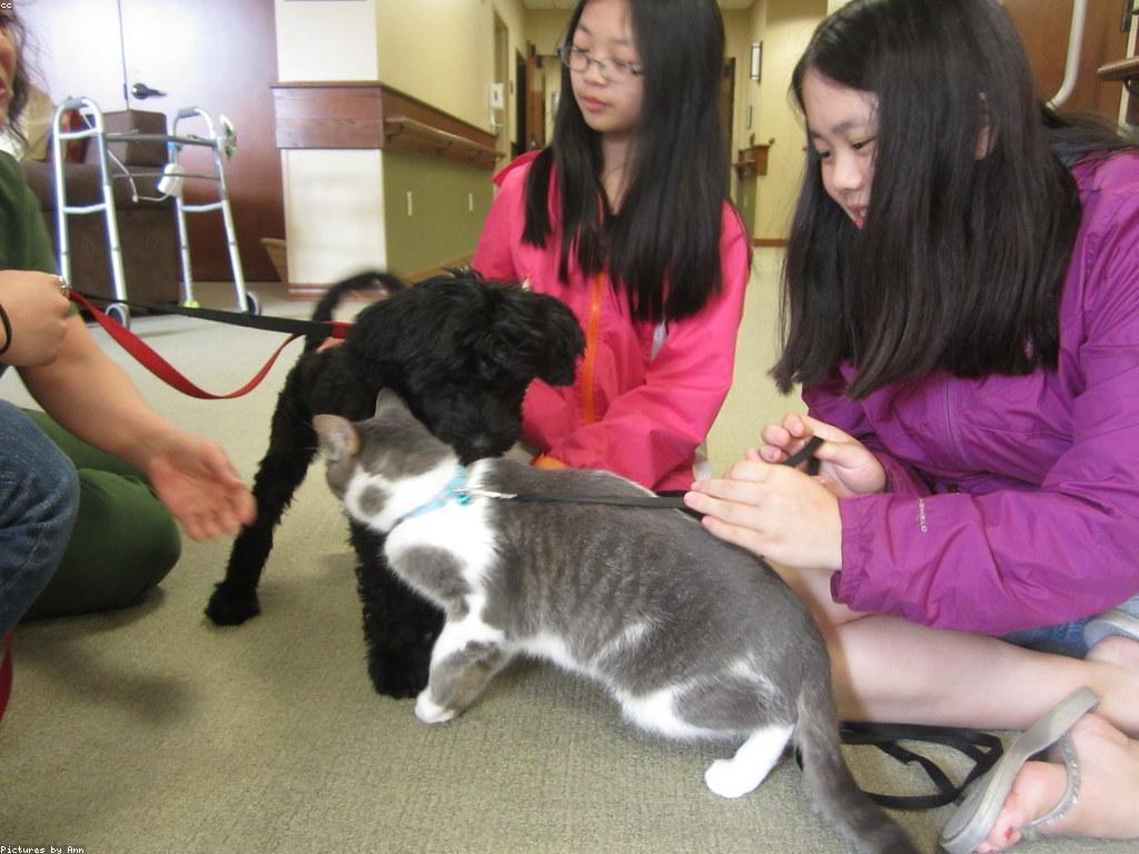 ការអនុវត្តន៍ប្រព័ន្ធប្រាក់រង្វាន់សុខភាព