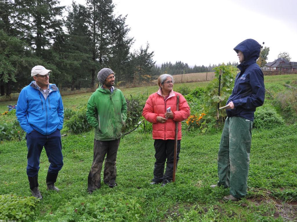 ការយល់ដឹងអំពីអត្ថប្រយោជន៍នៃប្រាក់រង្វាន់សង្គម