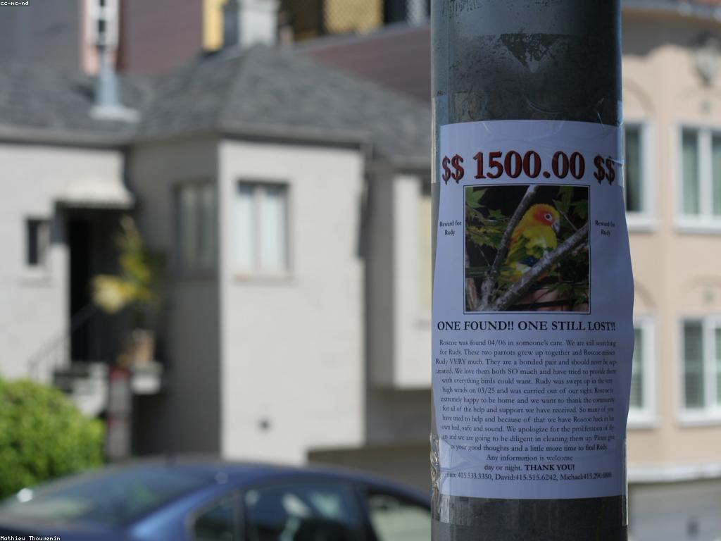 ប្រាក់រង្វាន់អាជីវកម្ម: គន្លឹះសម្រាប់ជោគជ័យក្នុងពាណិជ្ជកម្ម