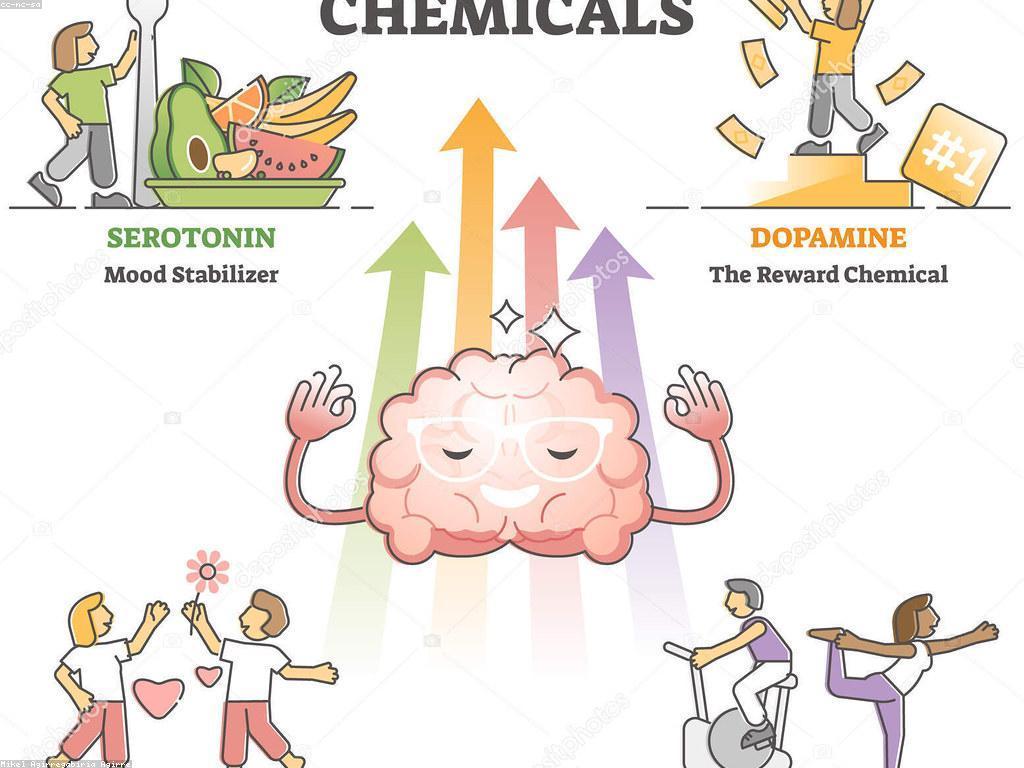 ប្រាក់រង្វាន់សុខភាព: ចំណេះដឹង និងអត្ថប្រយោជន៍